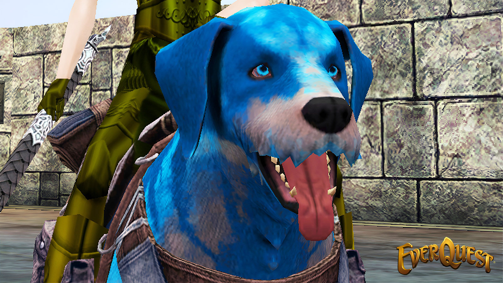 EverQuest annonce la date d'ouverture du deuxième 2026 Serveur d'extension verrouillé dans le temps-Mmopcgame.com